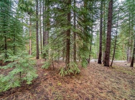 1593 Plumas Circle, South Lake Tahoe, CA 96150 Photo