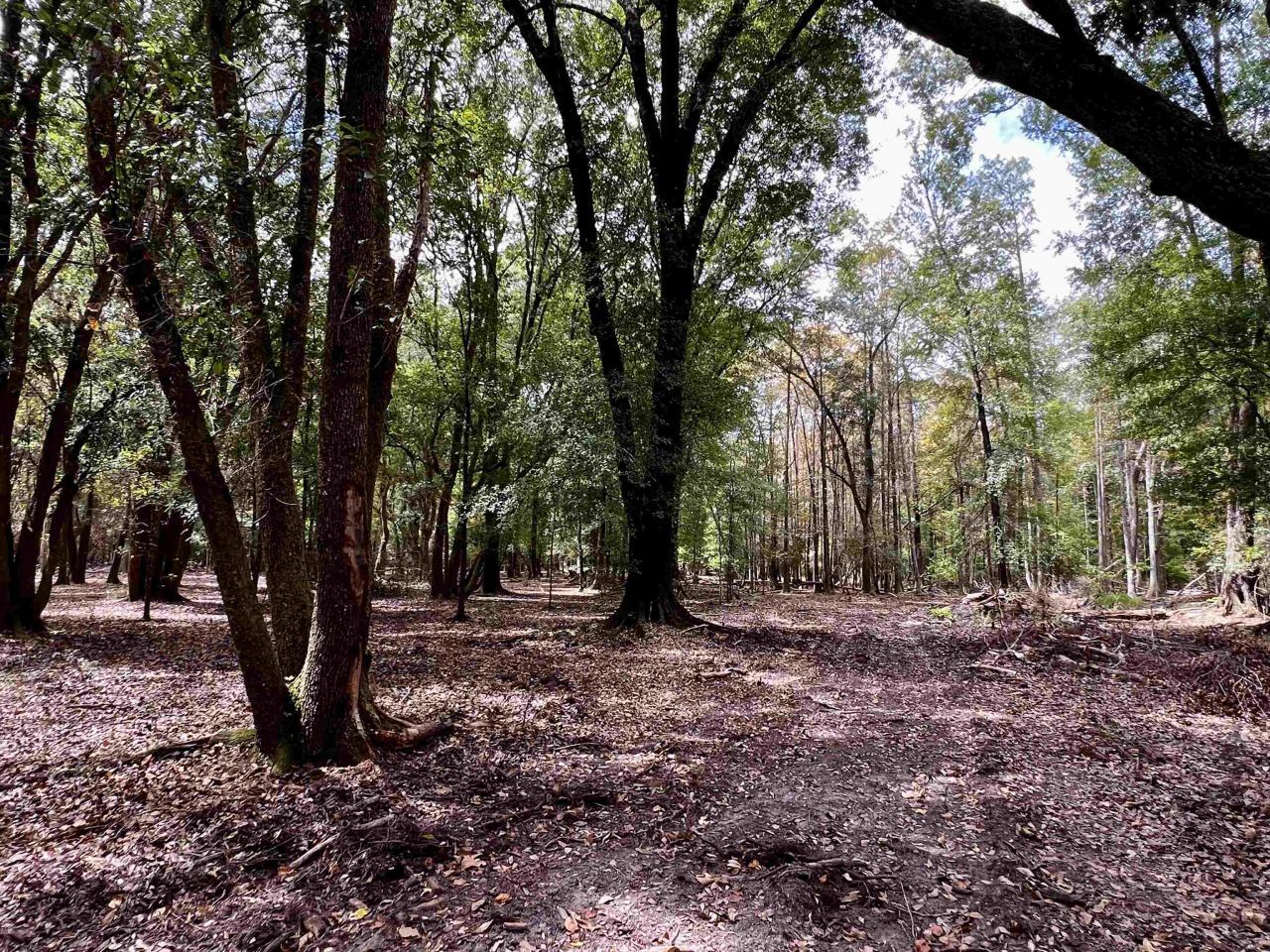 Lot#6 Glory Road, Quincy, FL 32352 Photo