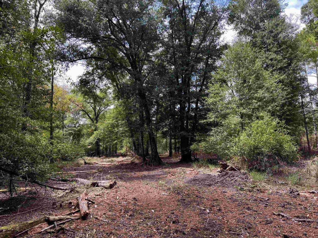 Lot#6 Glory Road, Quincy, FL 32352 Photo