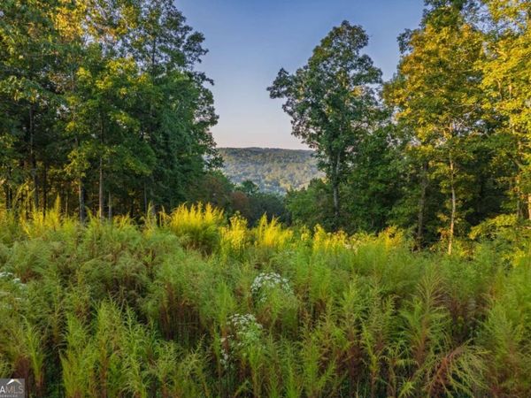 LOT 290 Anglers Ridge Road, Talking Rock, GA 30175
