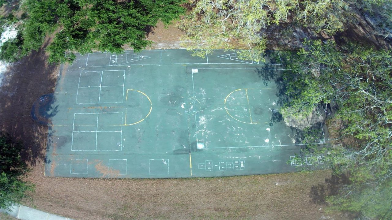 309 Deer Park Avenue, Temple Terrace, FL 33617 Photo