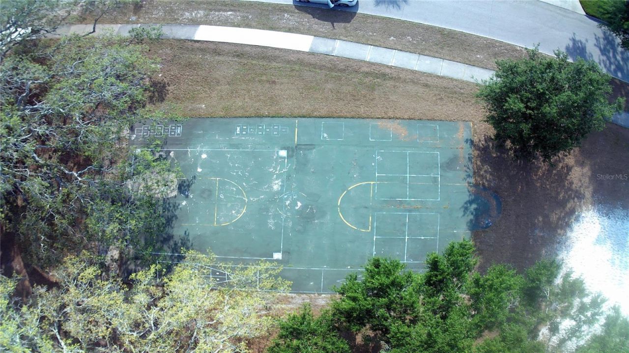 309 Deer Park Avenue, Temple Terrace, FL 33617 Photo