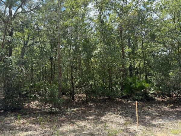 109 PINELLAS STREET, FLORAHOME, FL 32140