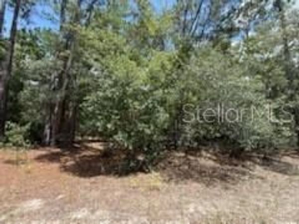 109 PINELLAS STREET, FLORAHOME, FL 32140