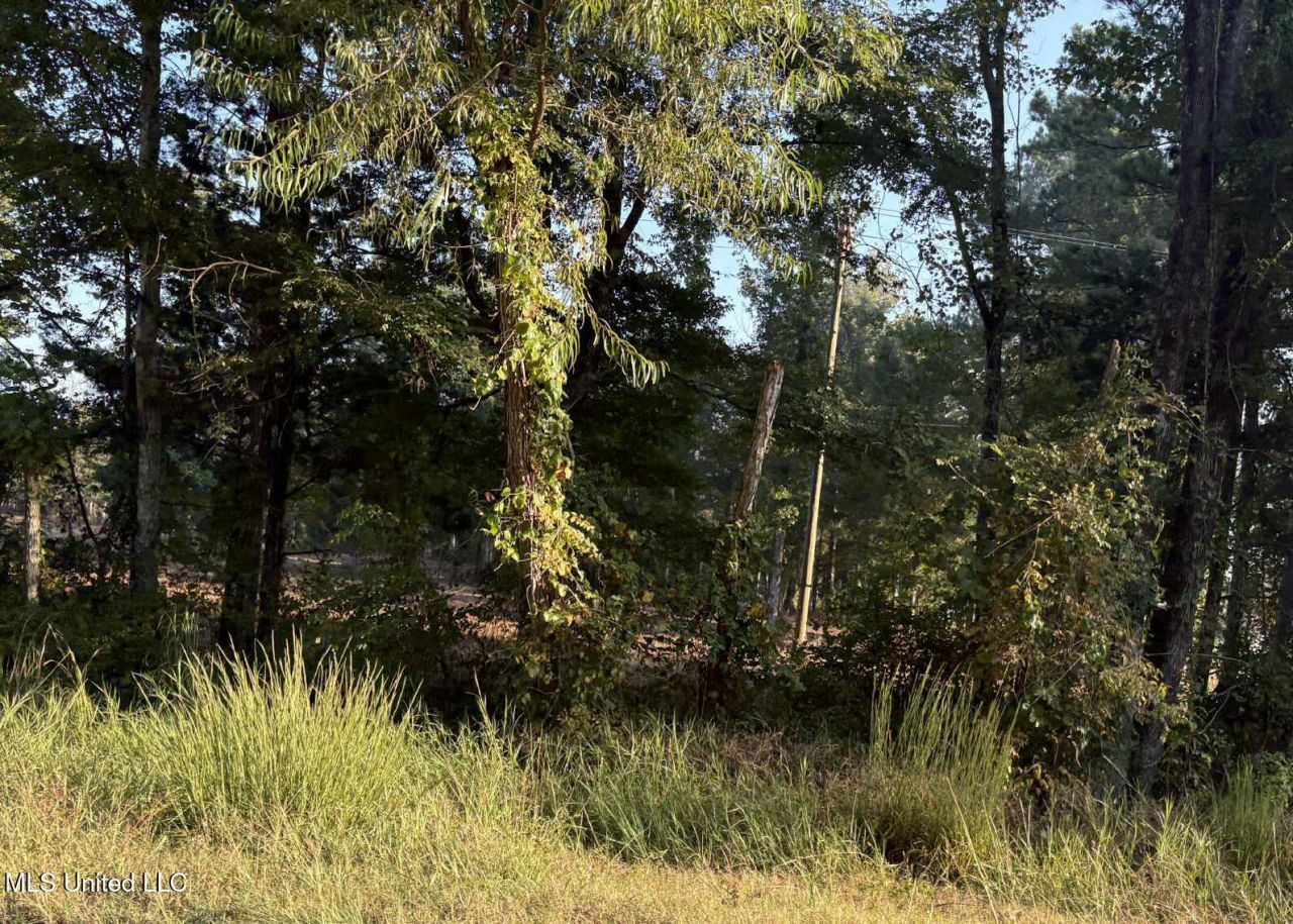 00 Highway 80, Forest, MS 39074 Main Photo