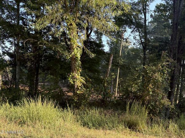 00 Highway 80, Forest, MS 39074