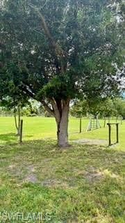 13300 Morningstar Ln, Bokeelia, FL 33922 Photo