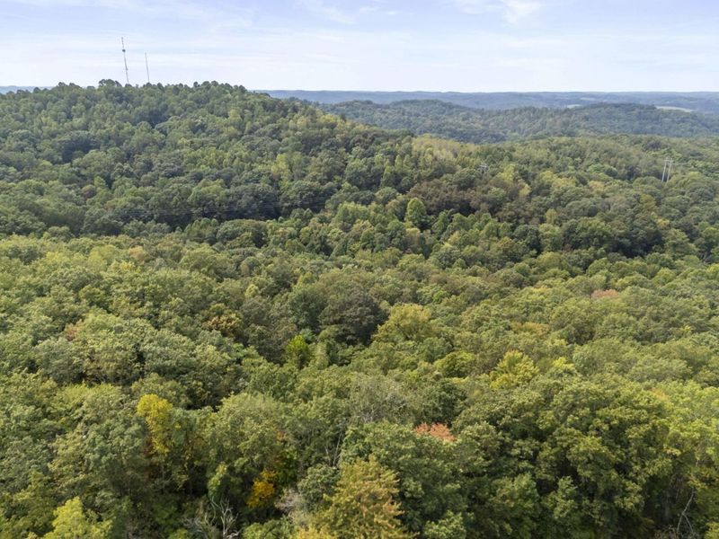 14811 Burcham Road , Logan, OH 43138 Photo 37