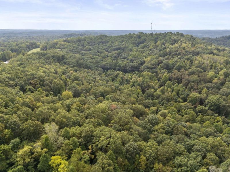 14811 Burcham Road , Logan, OH 43138 Photo 39