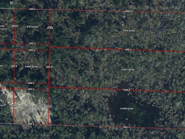 0000 Sandridge Church Road, Sneads, FL 32460