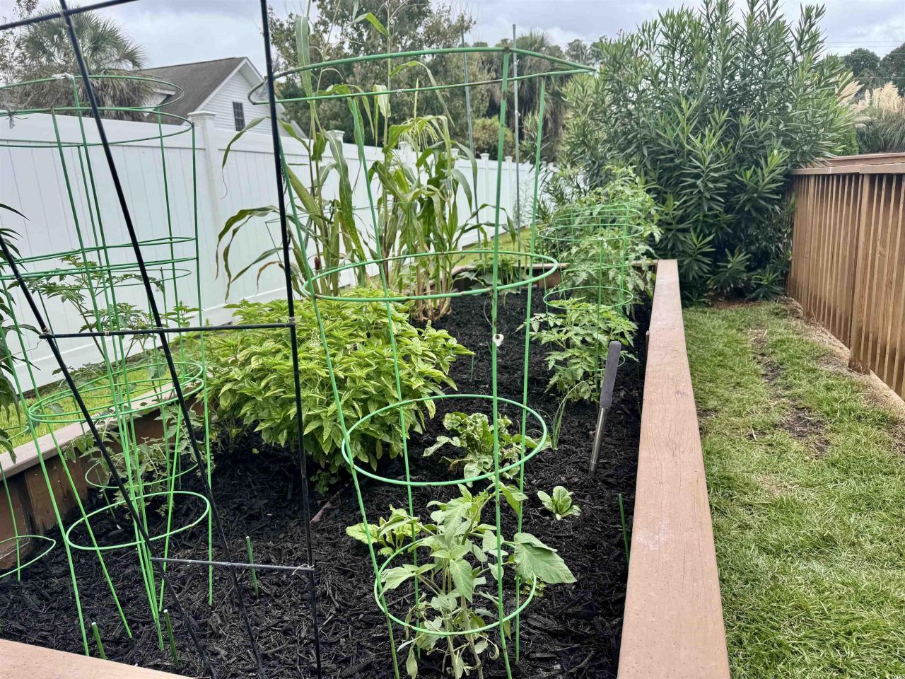 212 Duchess Ct. Photo 31