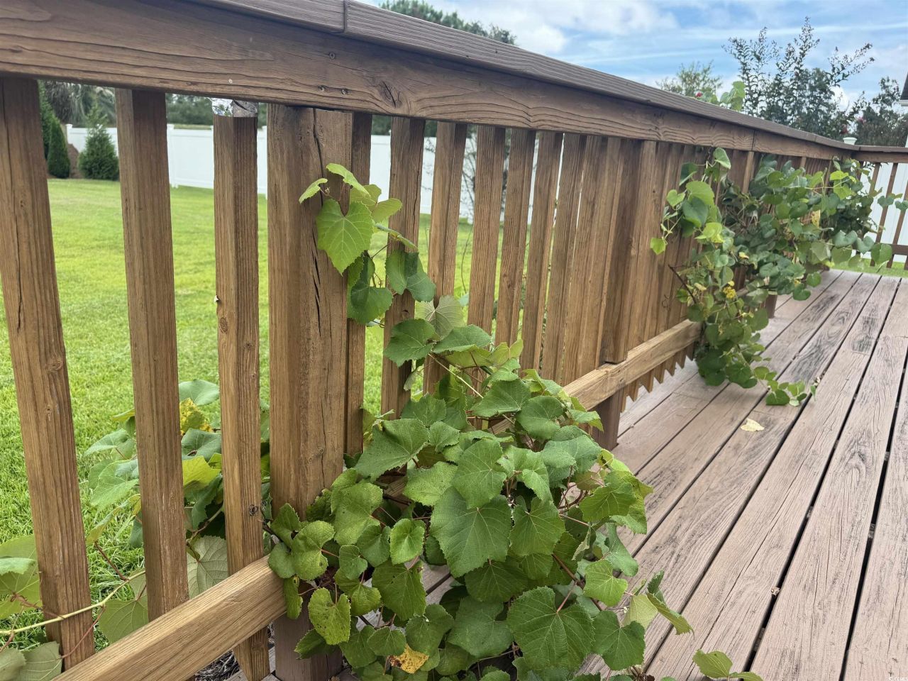 212 Duchess Ct. Photo 34