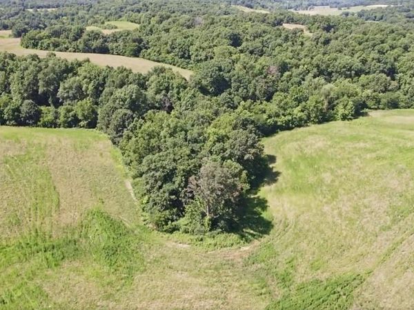 1944 Bess Hollow - Tract 2, Kampsville, IL 62053