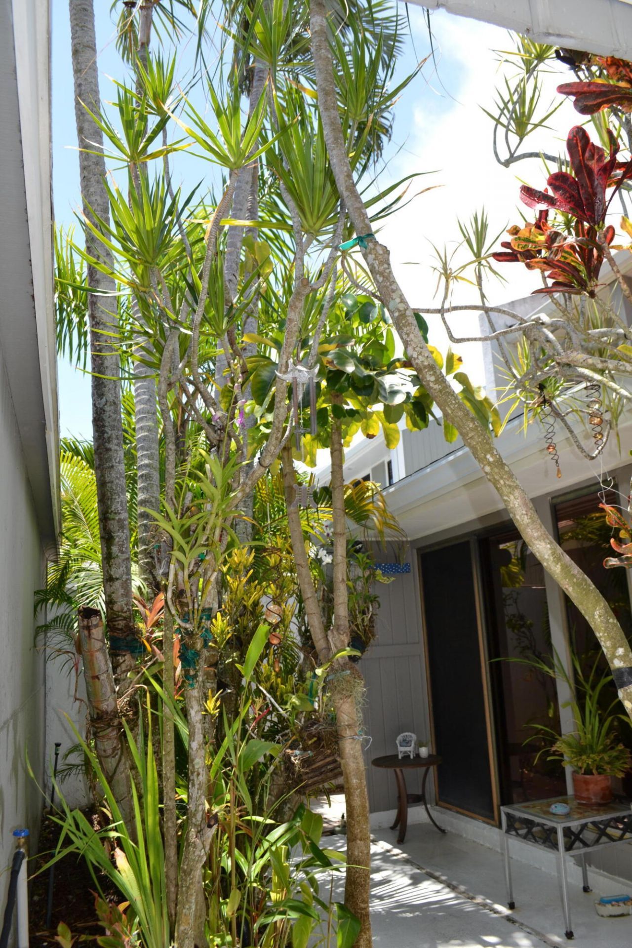 17145 Bay Street, Jupiter, FL 33477 Photo