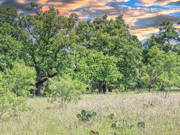 Lot 4 RM 1323, Willow City, TX 78675