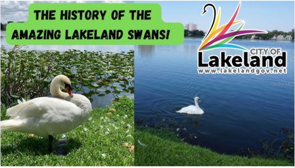 Kathleen Road, Lakeland, FL 33815 Photo