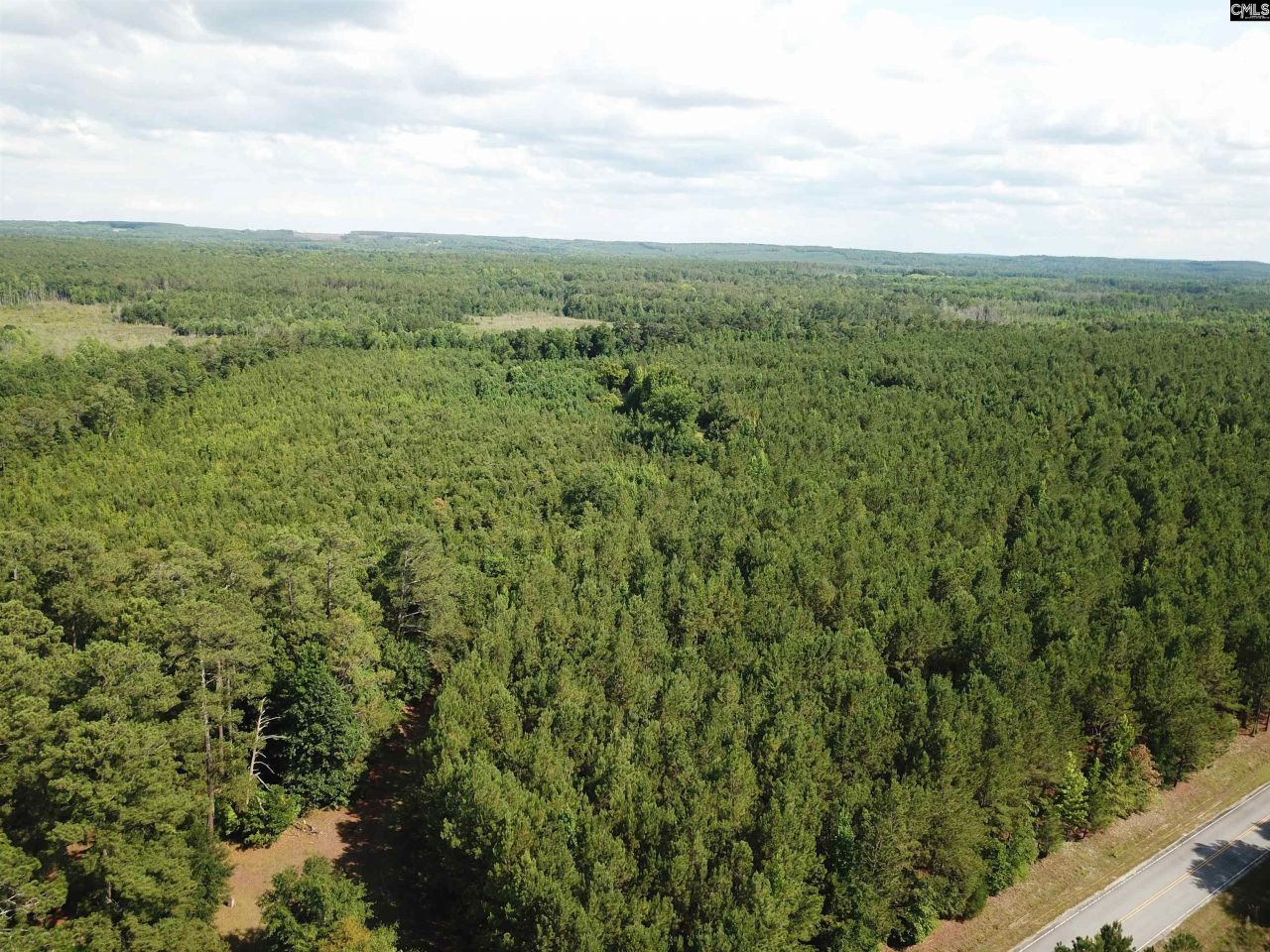 91 Shiver Road Photo 11