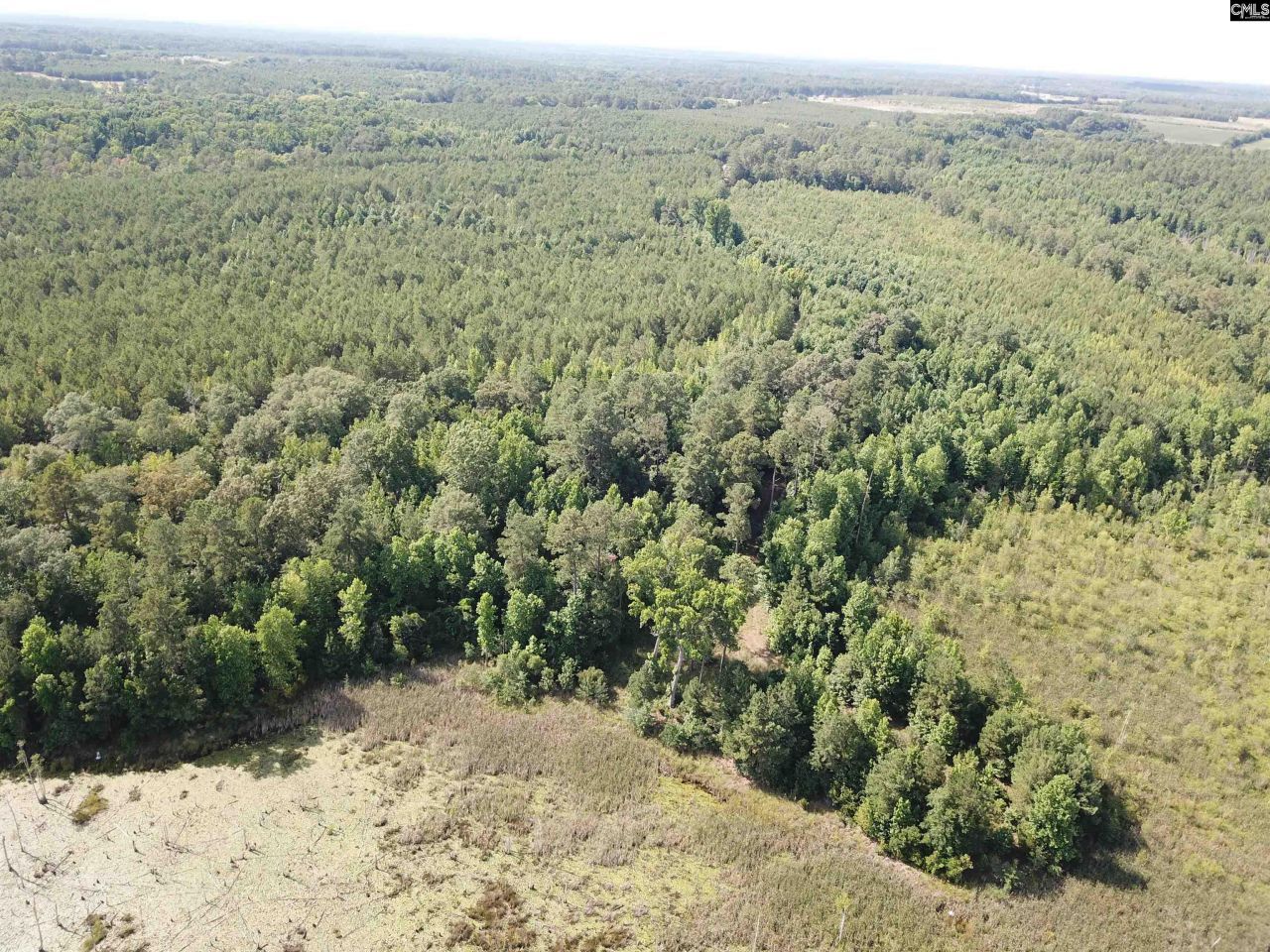 91 Shiver Road Photo 15