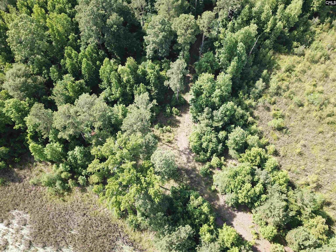 91 Shiver Road Photo 16