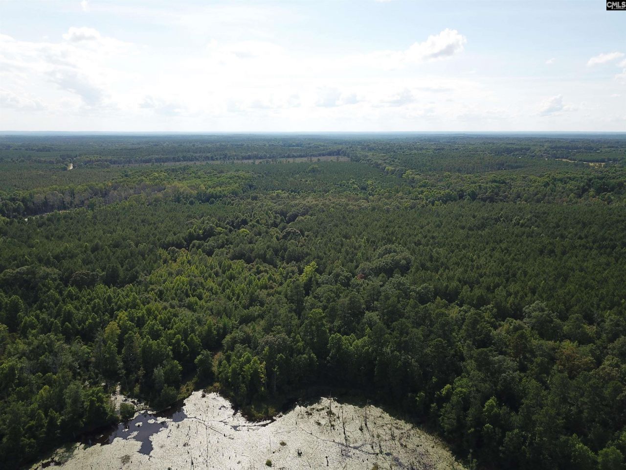 91 Shiver Road Photo 17