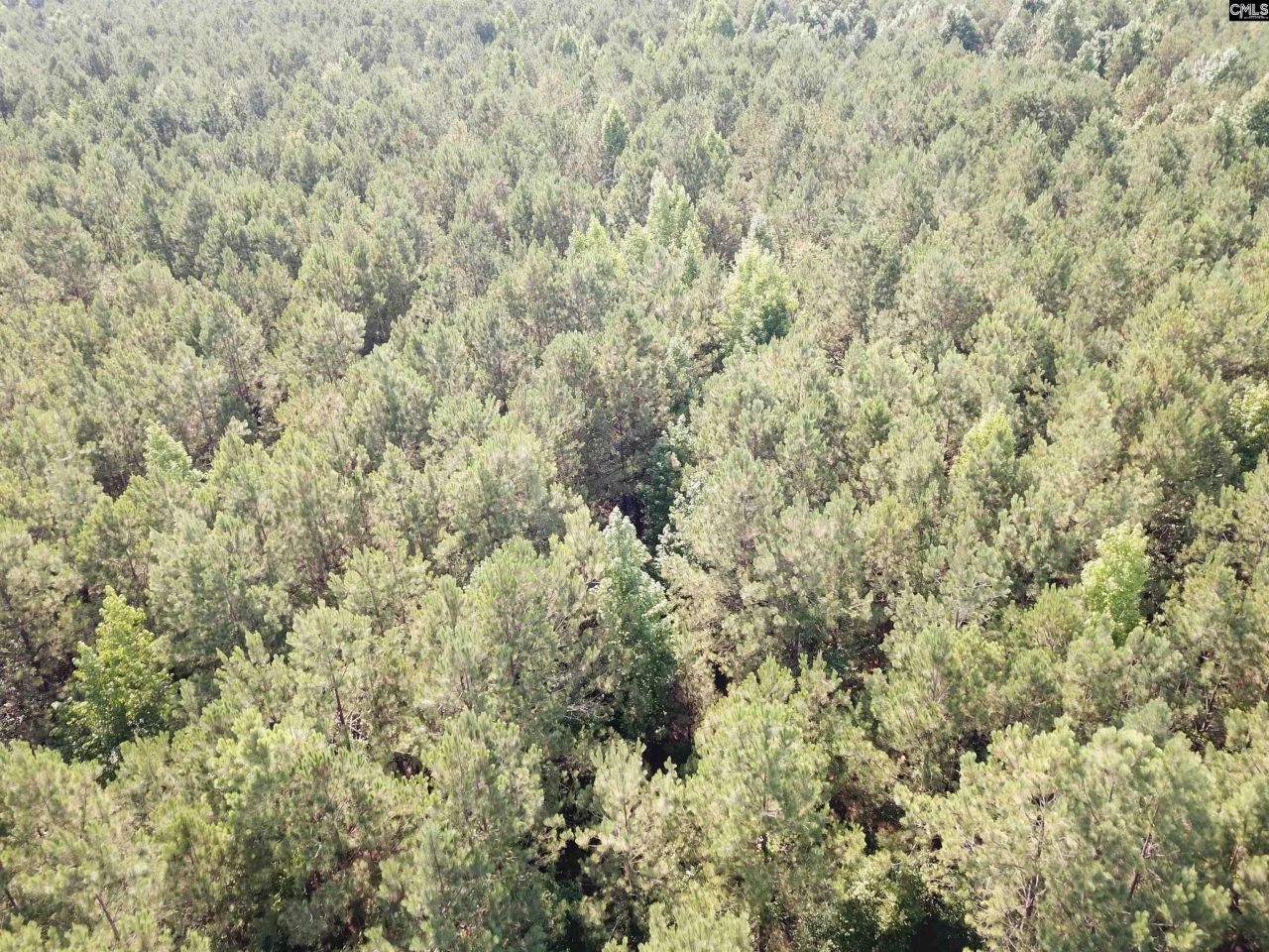 91 Shiver Road Photo 19