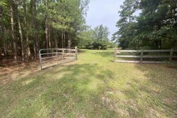 91 Shiver Road photo 4