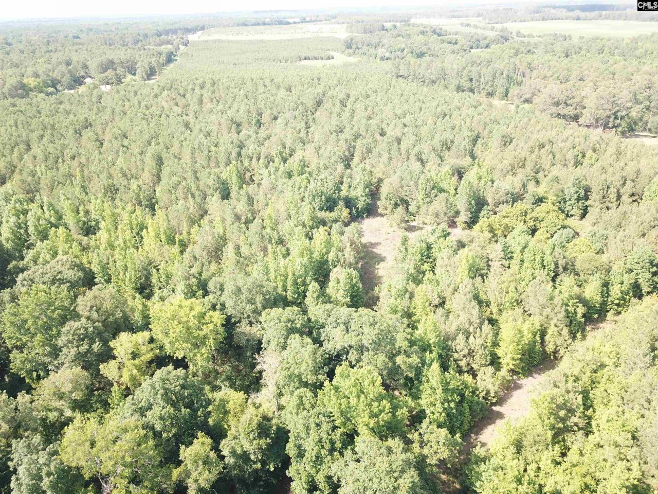 91 Shiver Road Photo 20