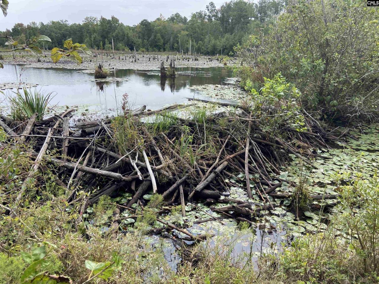 91 Shiver Road Photo 21