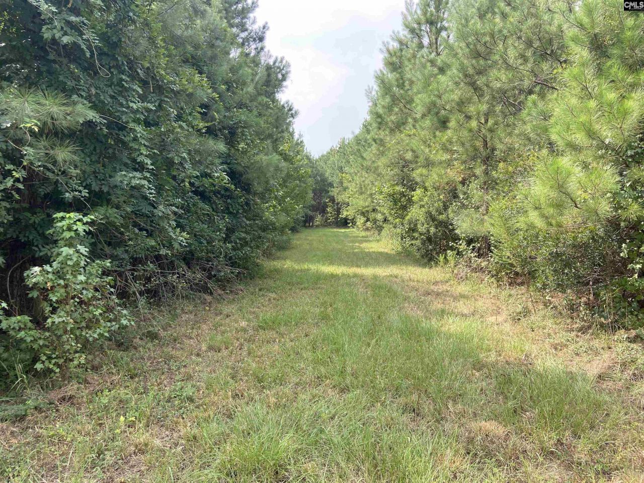 91 Shiver Road Photo 4