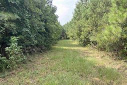 91 Shiver Road photo 4