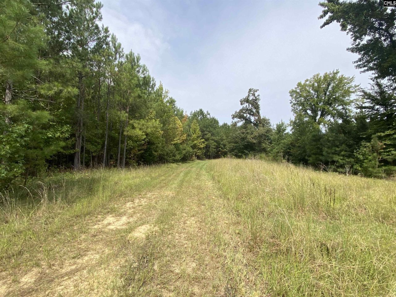 91 Shiver Road Photo 6