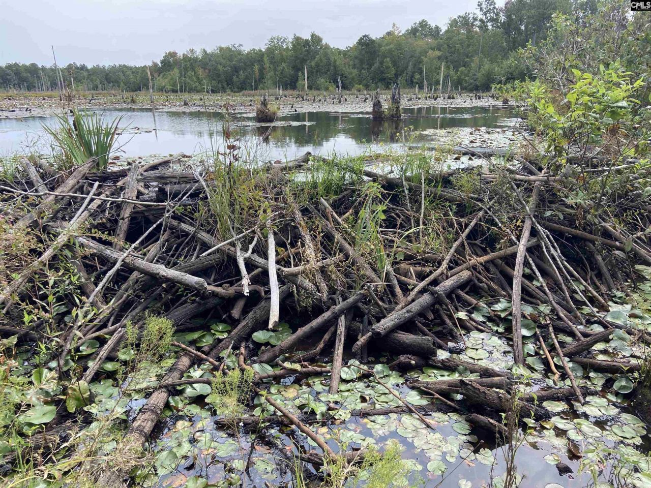 91 Shiver Road Photo 8