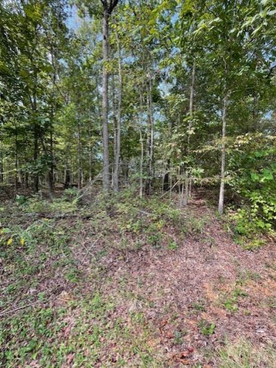 Ruthwell Drive, Bella Vista, AR 72715 Main Photo