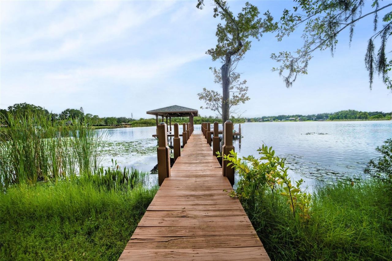 13048 Lake Roper Ct., Windermere, FL 34786 Photo