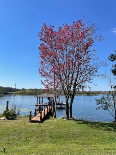 13048 Lake Roper Ct., Windermere, FL 34786 Photo