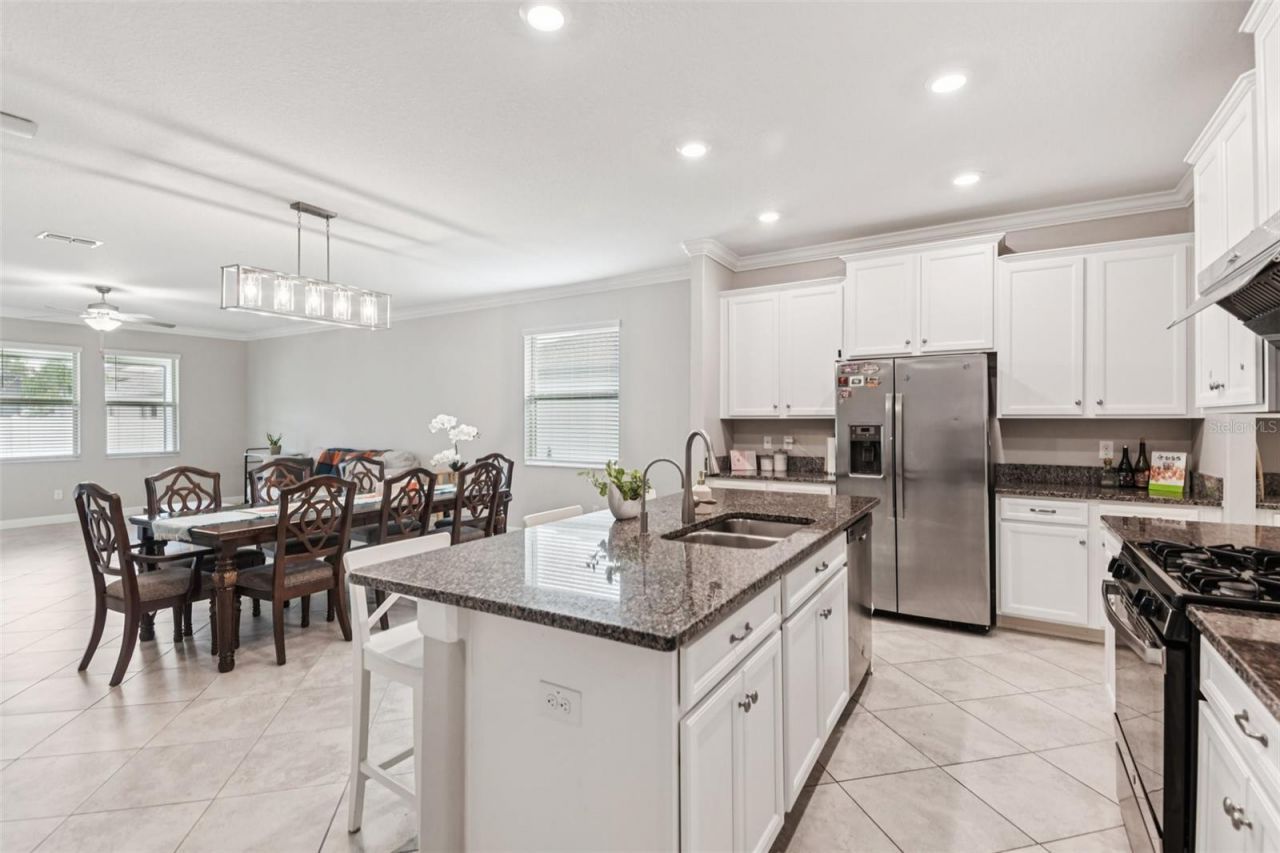 24928 Lambrusco Loop, Lutz, FL 33559 Photo