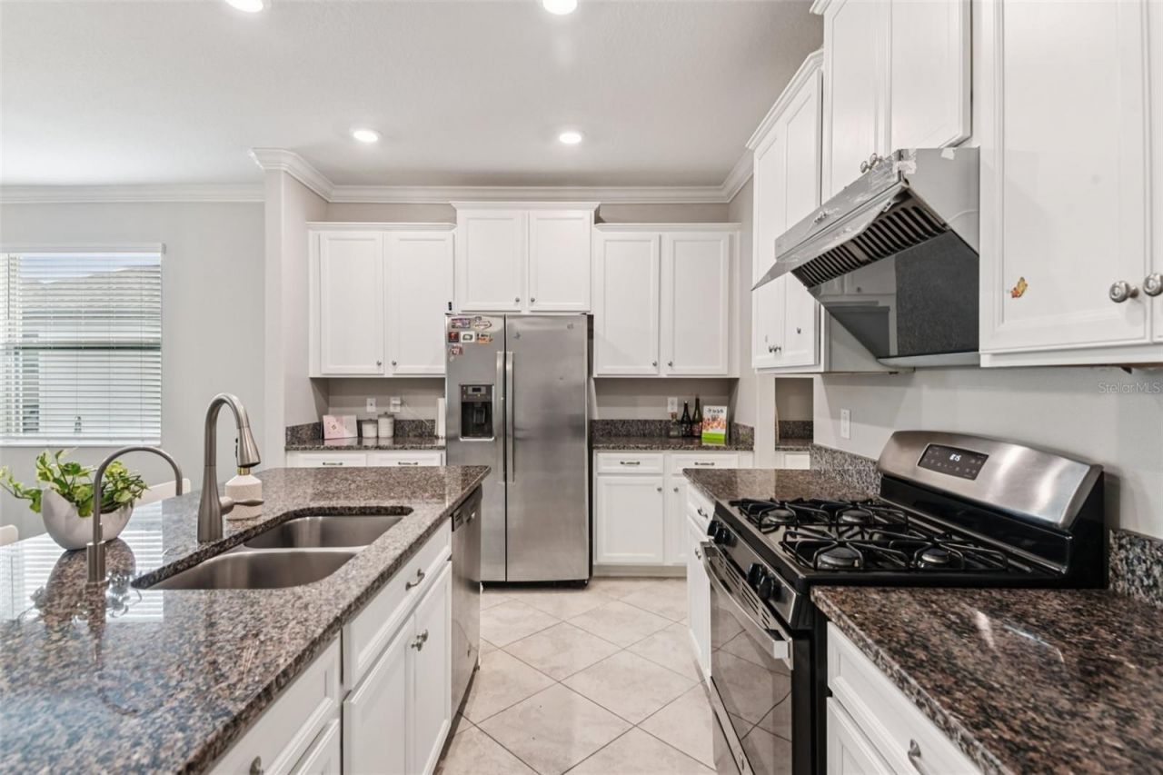 24928 Lambrusco Loop, Lutz, FL 33559 Photo