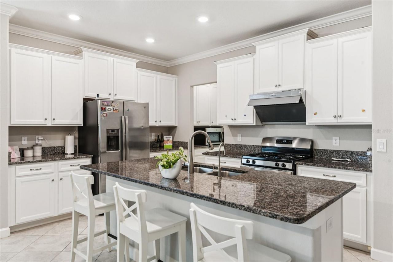 24928 Lambrusco Loop, Lutz, FL 33559 Photo