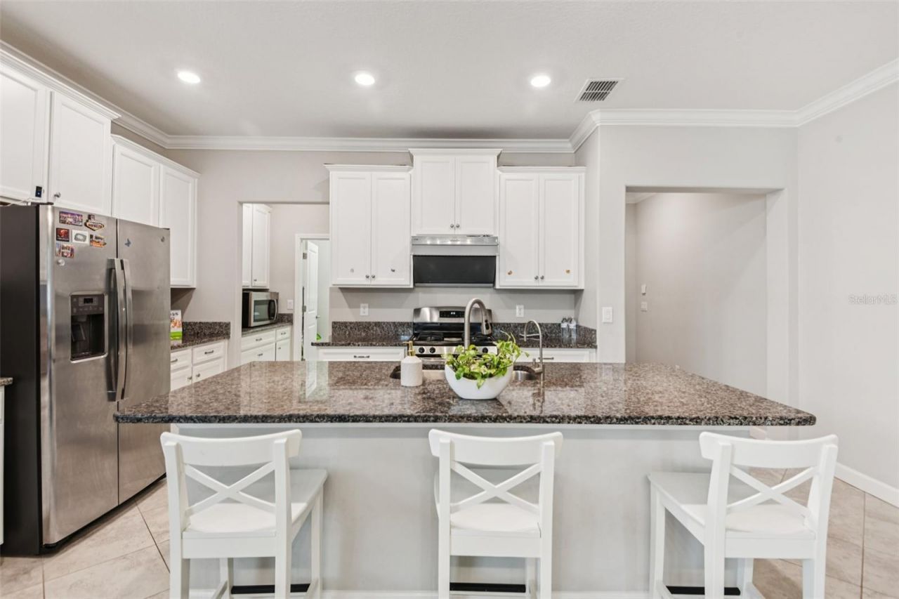 24928 Lambrusco Loop, Lutz, FL 33559 Photo