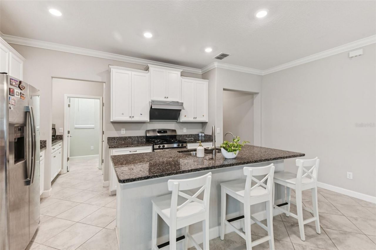 24928 Lambrusco Loop, Lutz, FL 33559 Photo