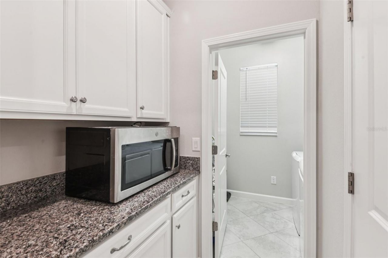 24928 Lambrusco Loop, Lutz, FL 33559 Photo