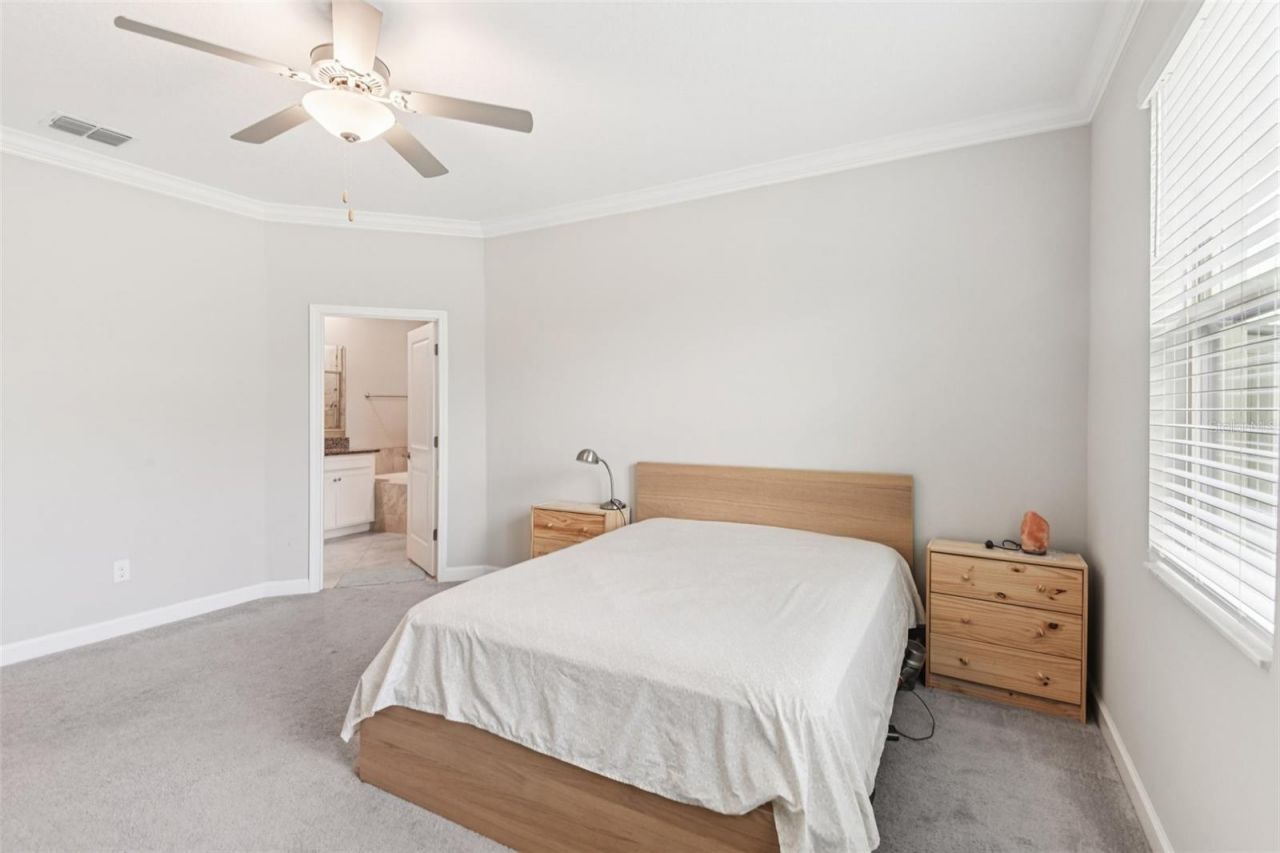 24928 Lambrusco Loop, Lutz, FL 33559 Photo