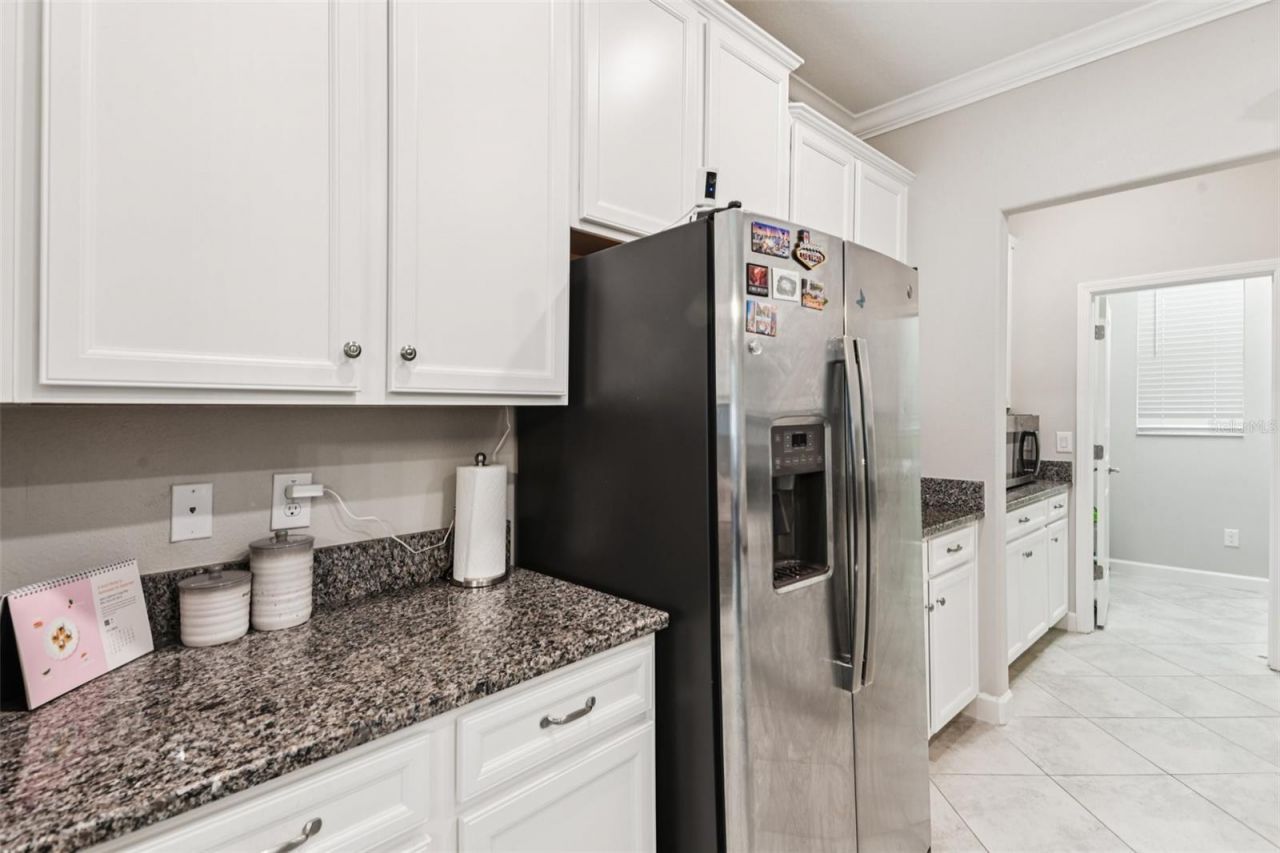 24928 Lambrusco Loop, Lutz, FL 33559 Photo