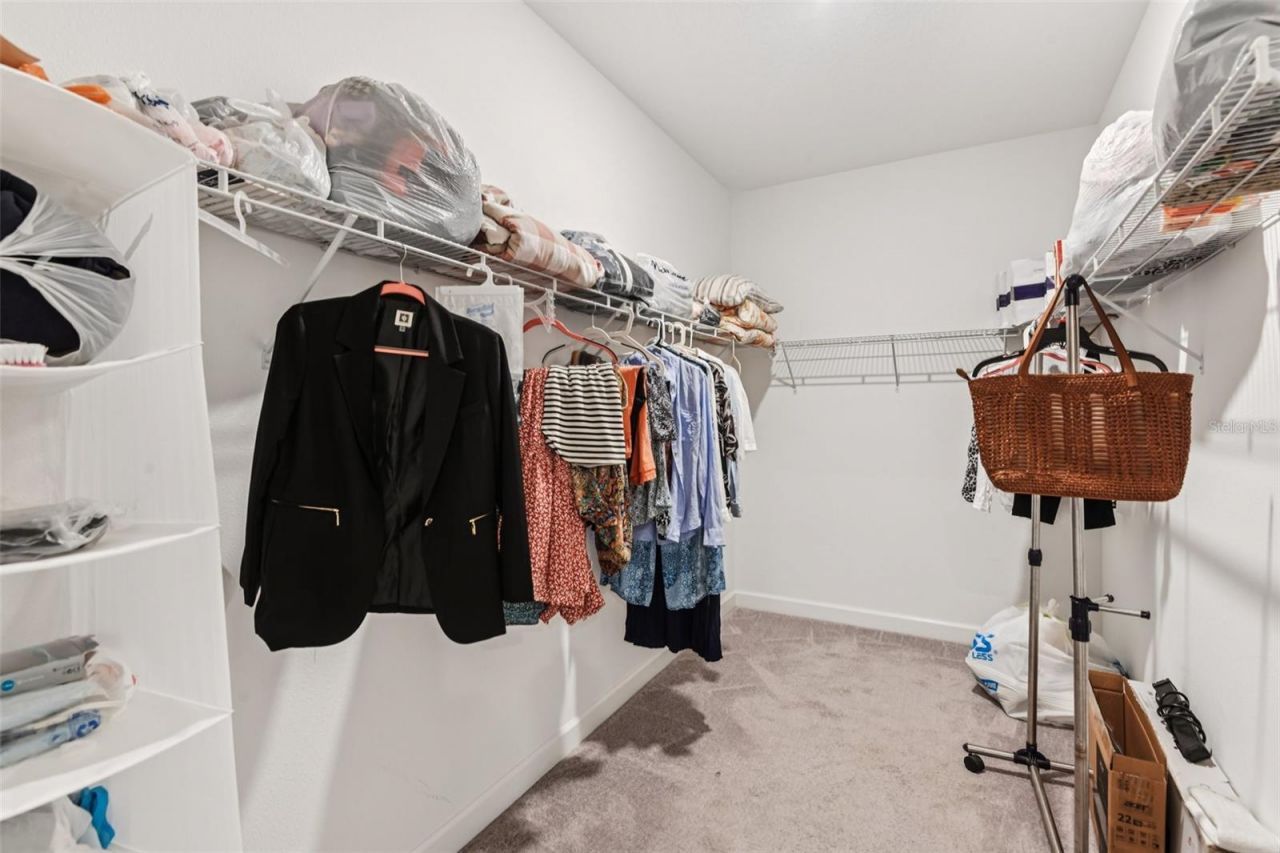 24928 Lambrusco Loop, Lutz, FL 33559 Photo