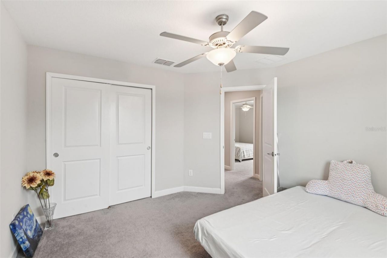 24928 Lambrusco Loop, Lutz, FL 33559 Photo