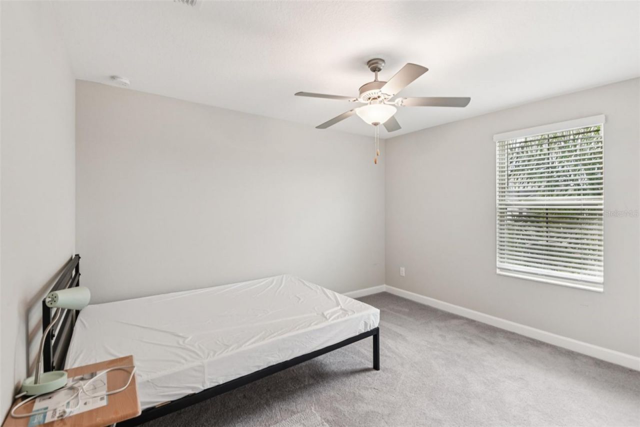 24928 Lambrusco Loop, Lutz, FL 33559 Photo