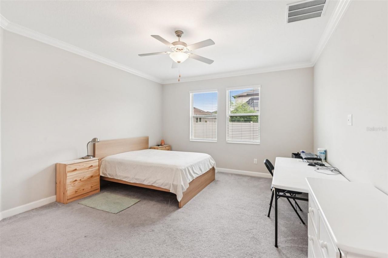 24928 Lambrusco Loop, Lutz, FL 33559 Photo
