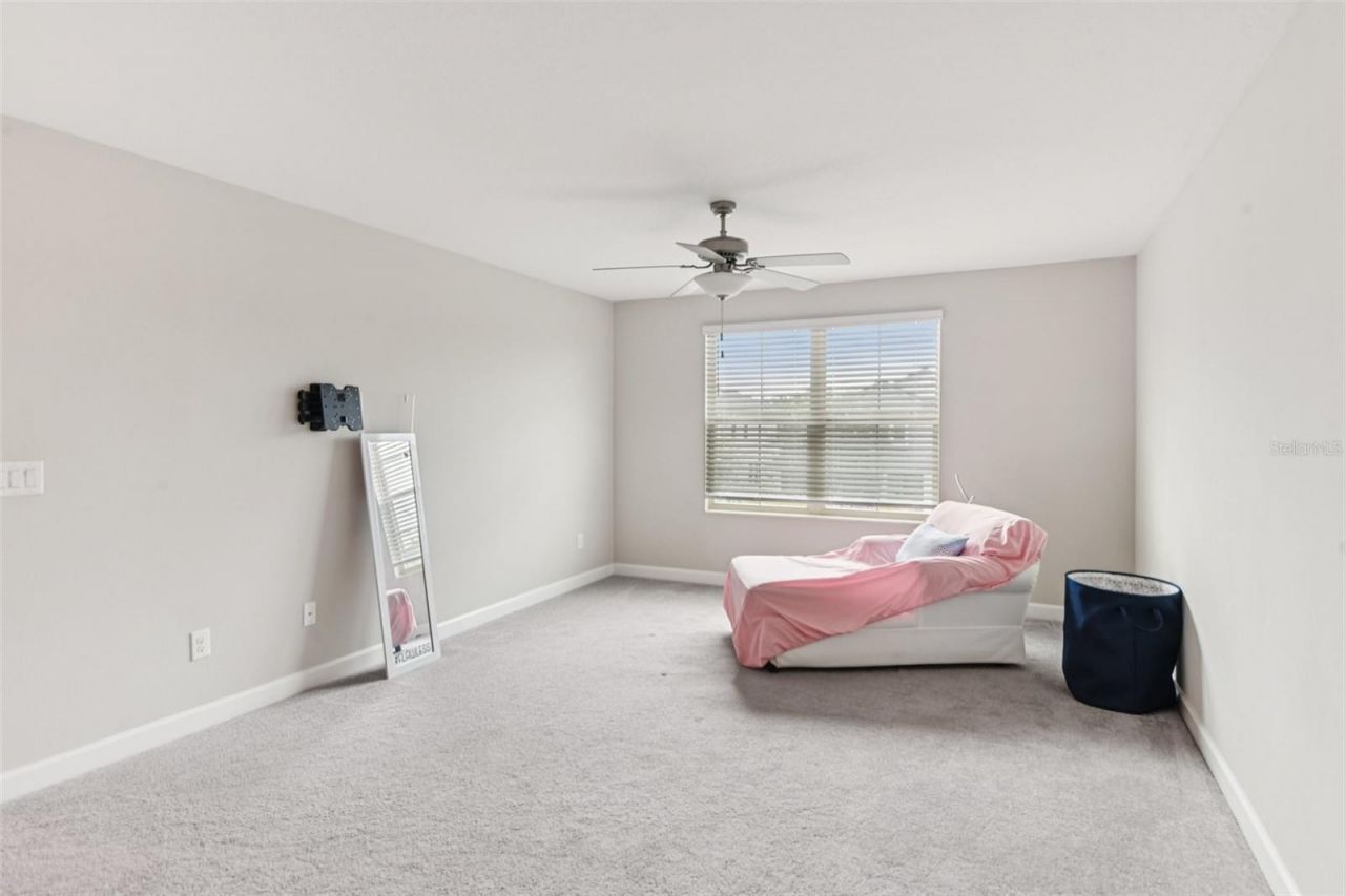 24928 Lambrusco Loop, Lutz, FL 33559 Photo