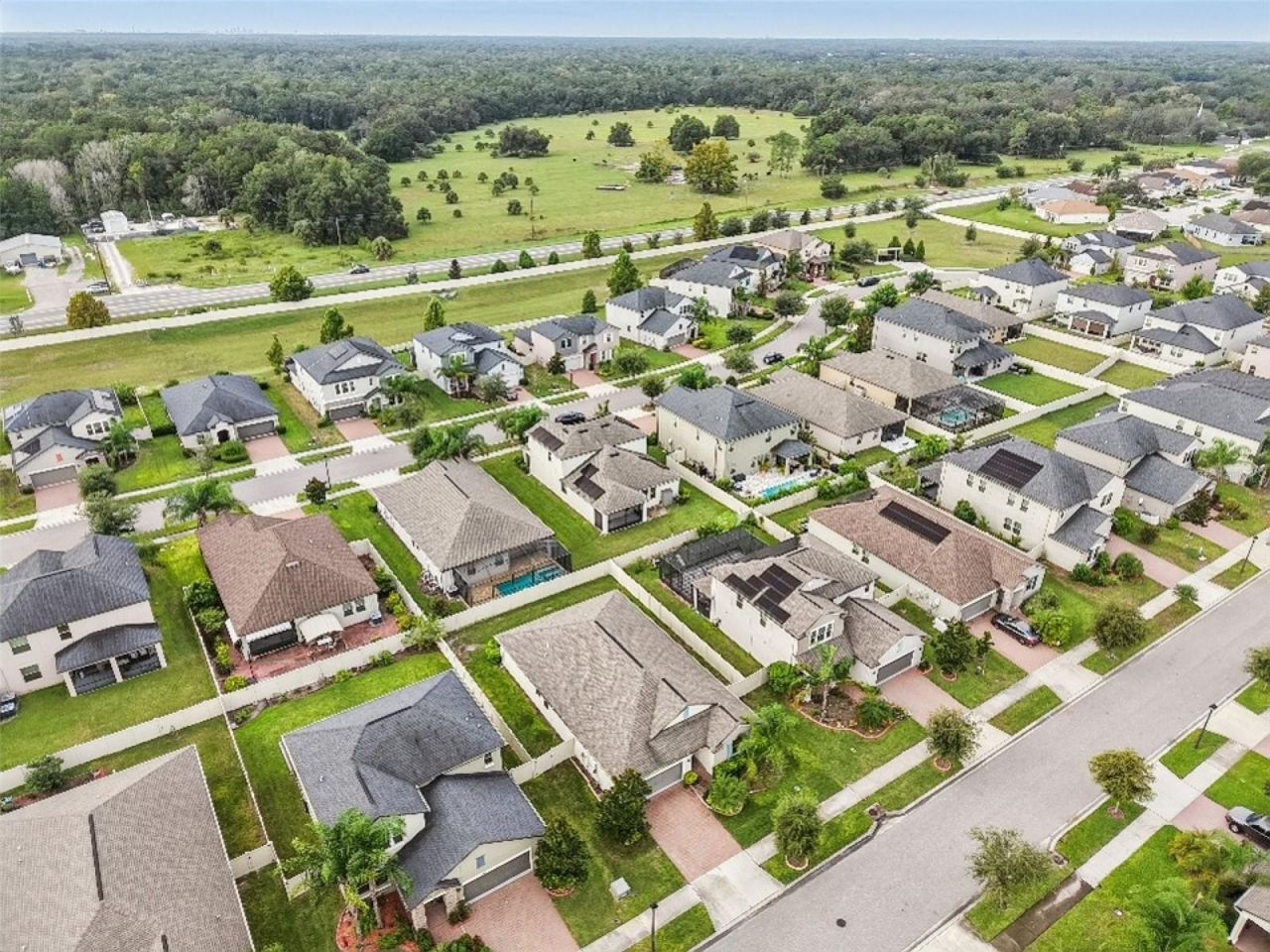 24928 Lambrusco Loop, Lutz, FL 33559 Photo