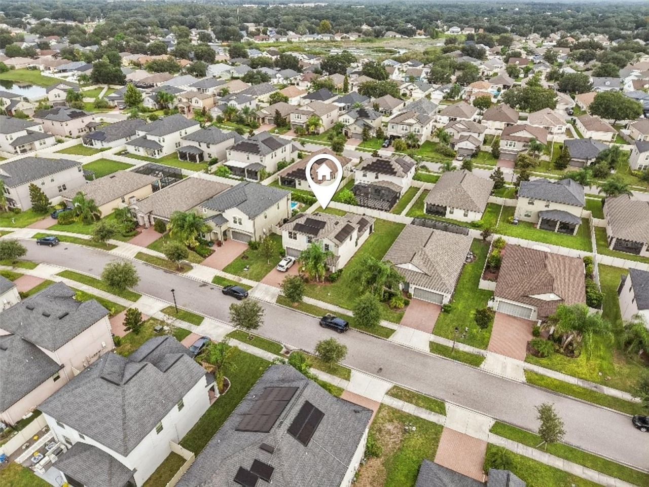 24928 Lambrusco Loop, Lutz, FL 33559 Photo